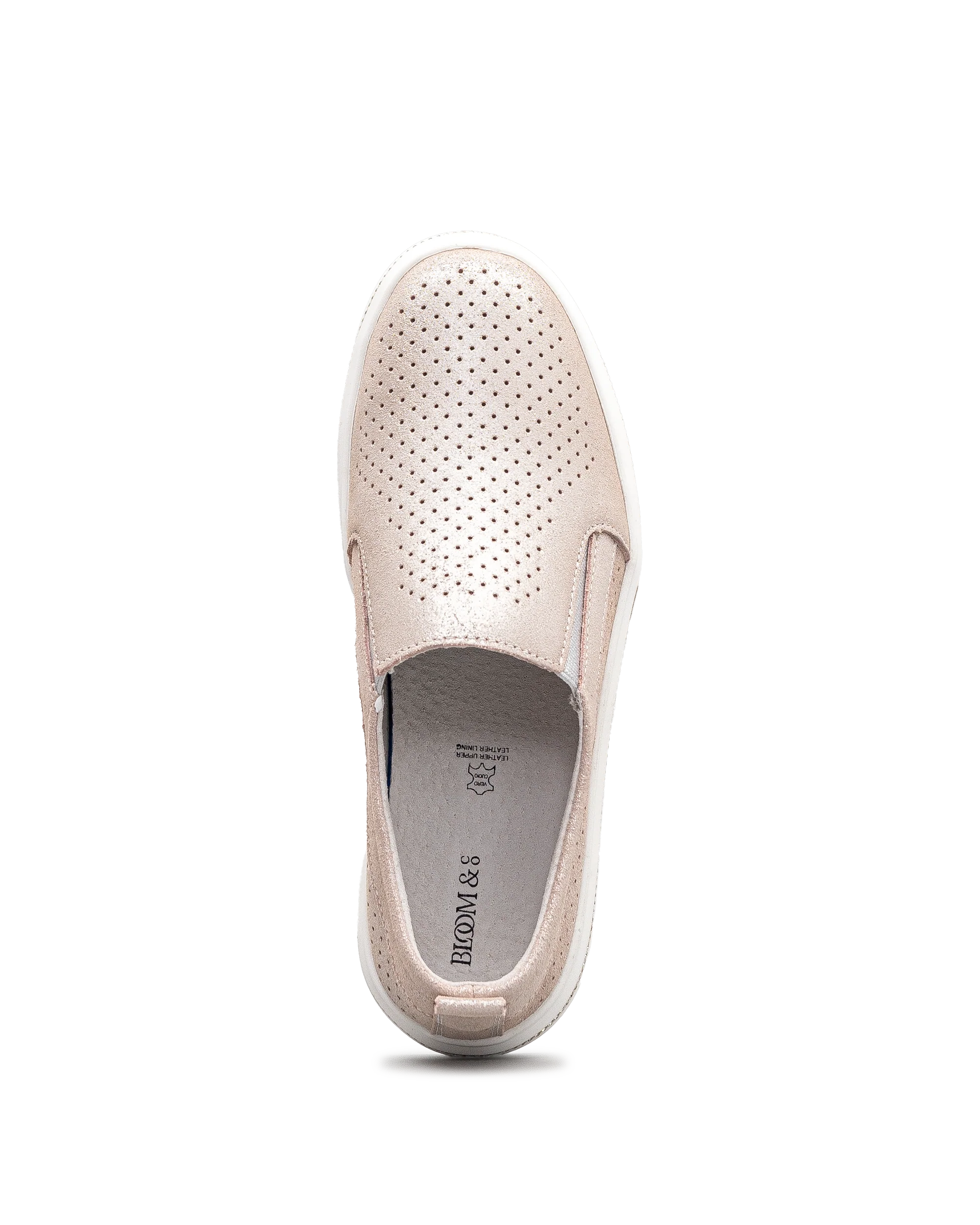 Titan 1 - Champagne - #16Y-210 - Image 5