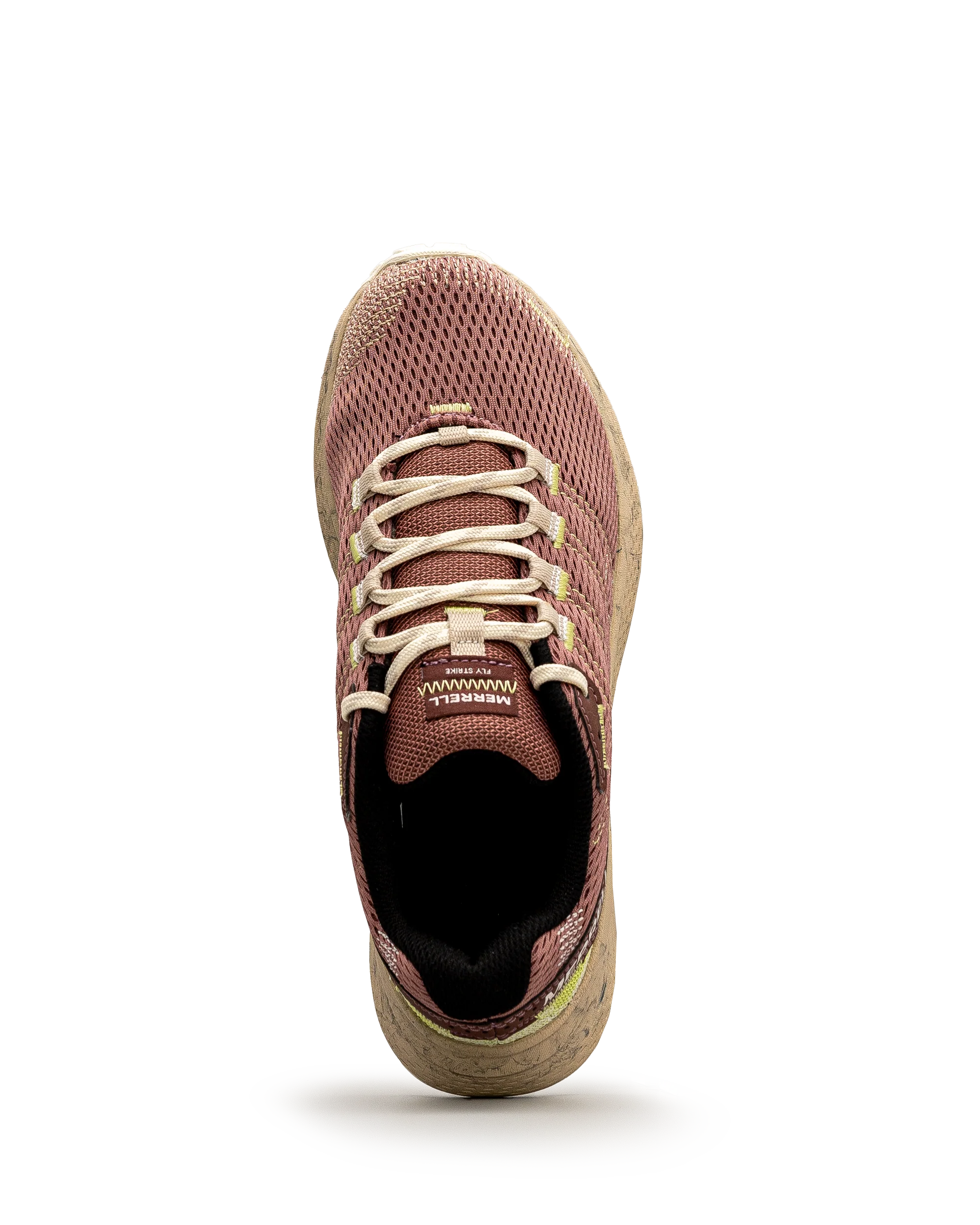 Fly strike - Vieux rose - #13M-18 - Image 5